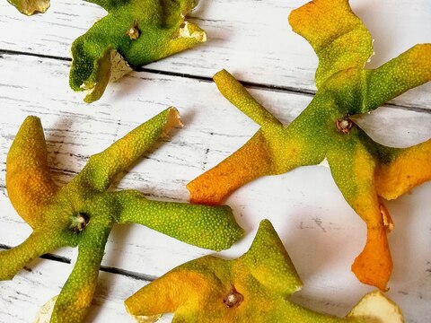 無農薬栽培のみかんの皮で。手作り陳皮